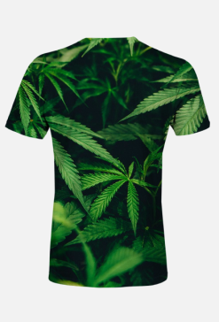 SMOKE IT 2