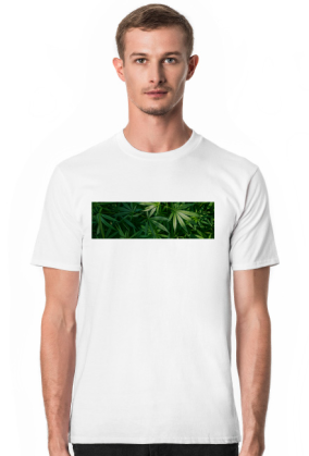 Tetra Hydro Cannabinol
