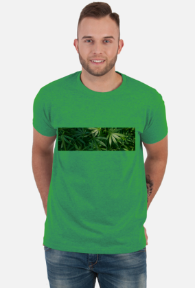 Tetra Hydro Cannabinol