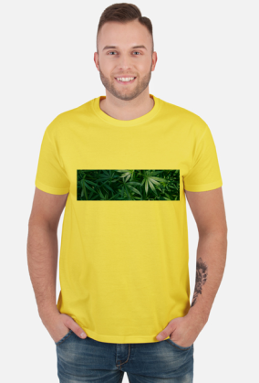 Tetra Hydro Cannabinol
