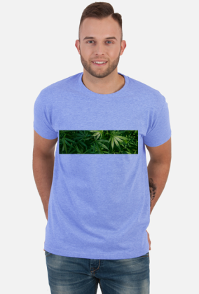 Tetra Hydro Cannabinol