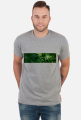 Tetra Hydro Cannabinol
