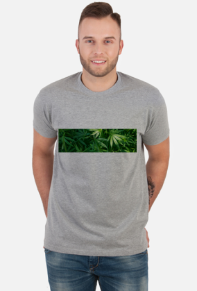 Tetra Hydro Cannabinol