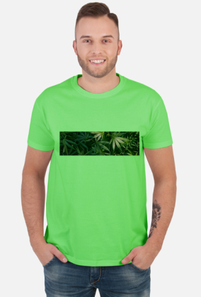 Tetra Hydro Cannabinol