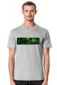 Tetra Hydro Cannabinol