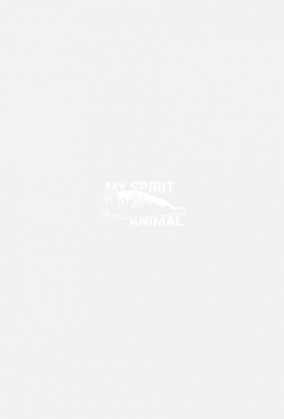 Koszulka - My spirit animal (foka)