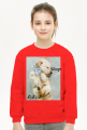 BLUZA DLA DZIEWCZYNKI ;;SPIACY PIESEK;