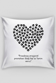 Poduszka przyjaciel