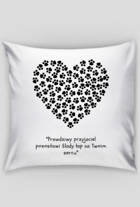 Poduszka przyjaciel
