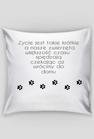 Poduszka pupil/czekanie