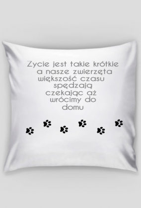 Poduszka pupil/czekanie