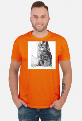 Koszulka Męska Koci Grajdołek 4