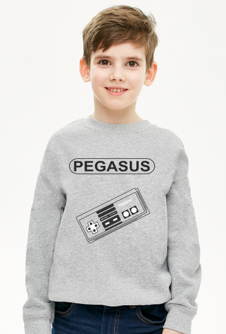 Bluza dziecięca Pegasus