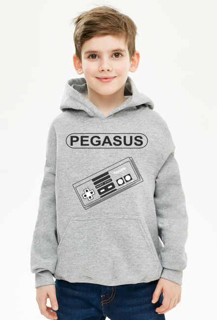 Bluza dziecięca Pegasus z kapturem