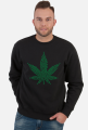 mary green bluza