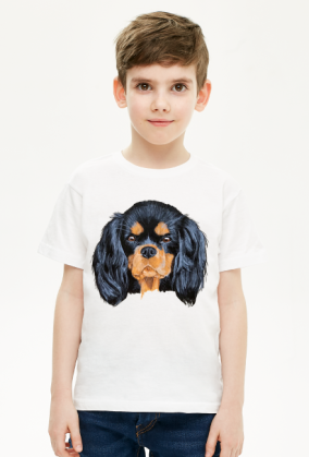 cavalier spaniel
