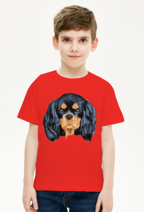 cavalier spaniel