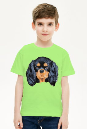 cavalier spaniel