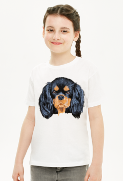 cavalier spaniel