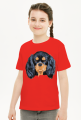 cavalier spaniel