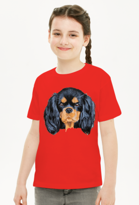 cavalier spaniel