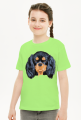 cavalier spaniel