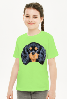 cavalier spaniel
