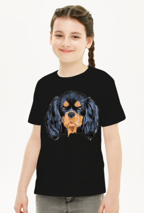 cavalier spaniel