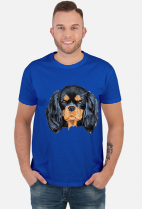 cavalier spaniel