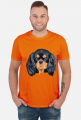 cavalier spaniel