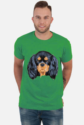 cavalier spaniel