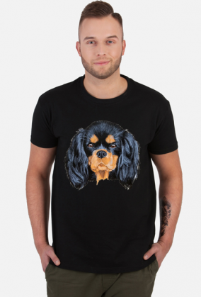 cavalier spaniel