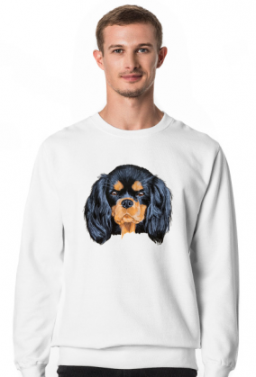 cavalier spaniel