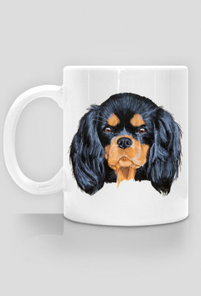 cavalier spaniel