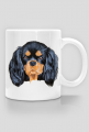 cavalier spaniel