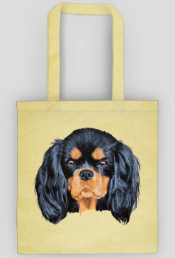 cavalier spaniel
