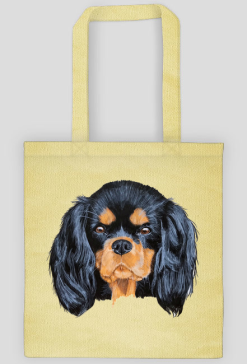 cavalier spaniel