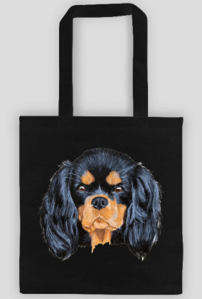 cavalier spaniel