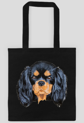 cavalier spaniel