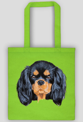cavalier spaniel