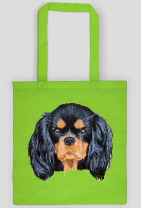cavalier spaniel