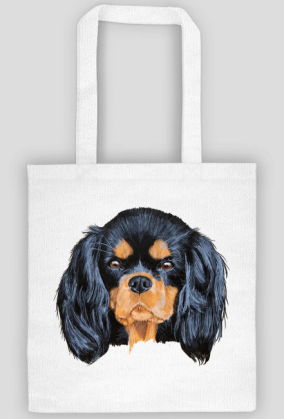 cavalier spaniel
