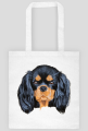 cavalier spaniel