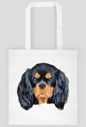 cavalier spaniel