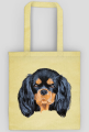 cavalier spaniel
