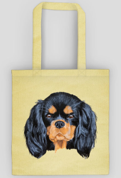 cavalier spaniel
