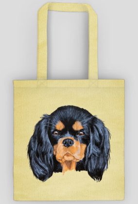 cavalier spaniel