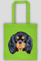 cavalier spaniel