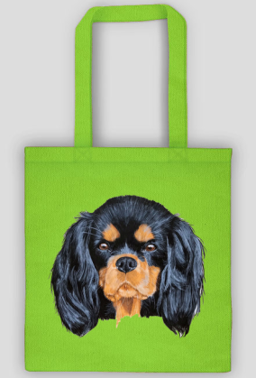 cavalier spaniel