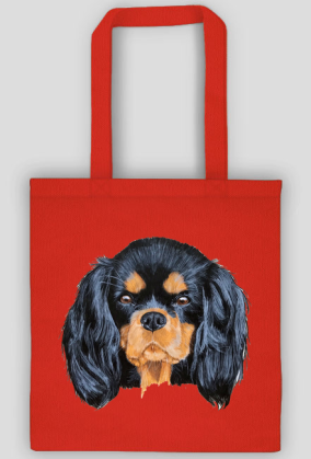 cavalier spaniel
